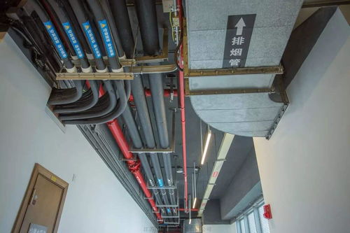 管道支架及吊架 安徽管道支架及吊架加工 江蘇圣天裝備制造